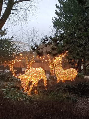 Kerstsportdag 009